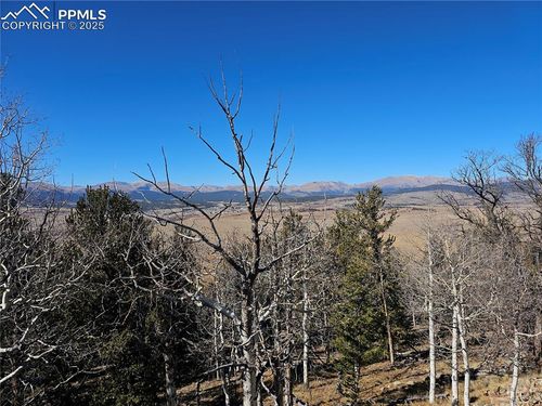 5585 Middle Fork Vis, Fairplay, CO, 80440 | Card Image