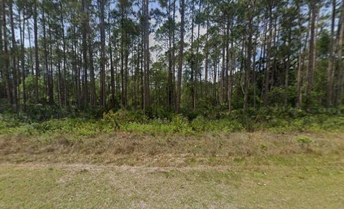 141 E Boundary Dr, Georgetown, FL, 32139-2803 | Card Image