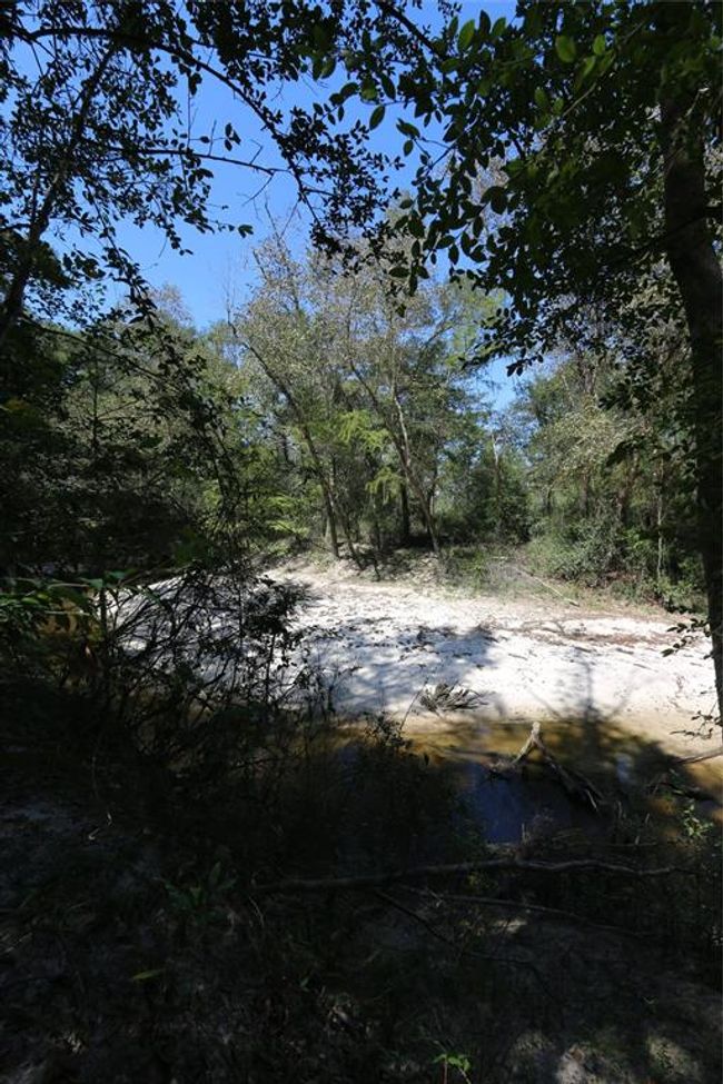 18157 State Highway 87 S, Home with 2 bedrooms, 1 bathrooms and 1 parking in Call TX | Image 23