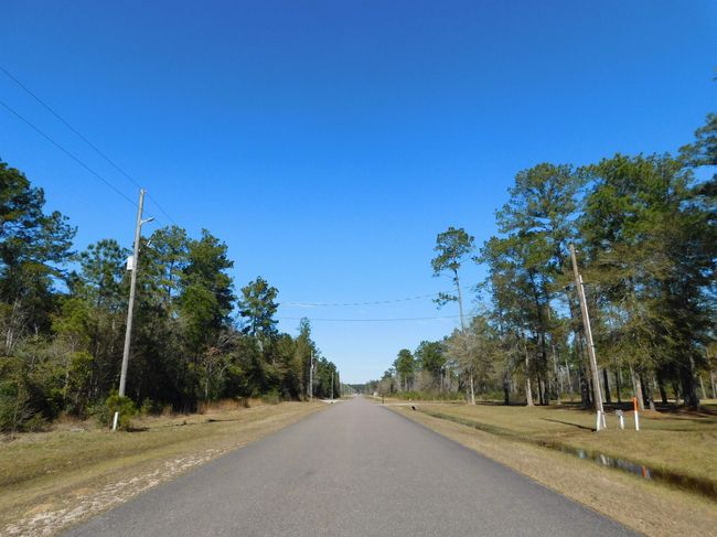 HWY-421 - 9245 Bear Creek Creek Drive, Home with 0 bedrooms, 0 bathrooms and null parking in Kountze TX | Image 7