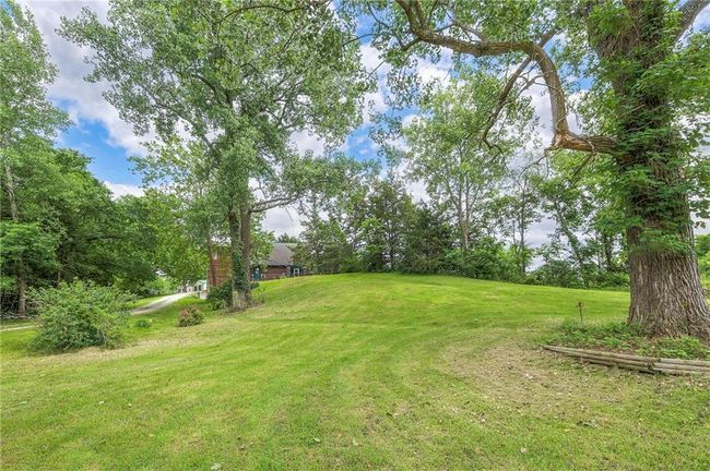 View of green lawn | Image 54