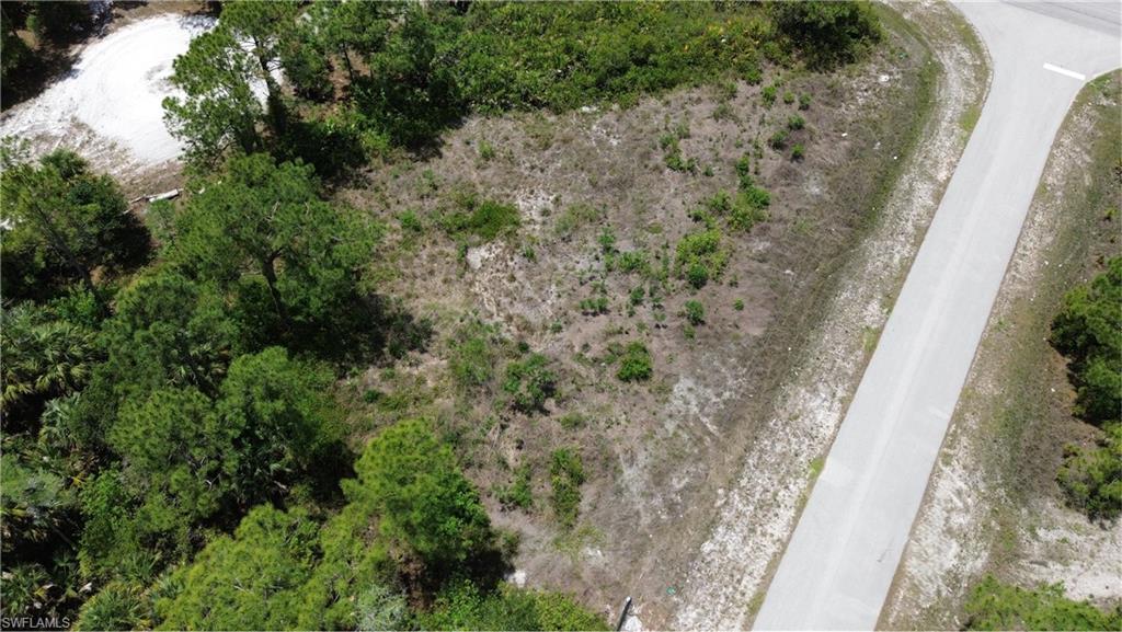 Land in LEHIGH ACRES 3