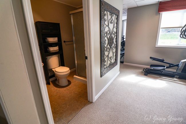 12709 Ospreys Way, House other with 5 bedrooms, 4 bathrooms and null parking in Dewitt MI | Image 79