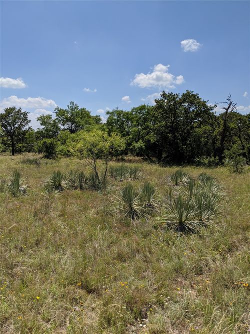 0000 Co Rd 271, Rising Star, TX, 76471 | Card Image