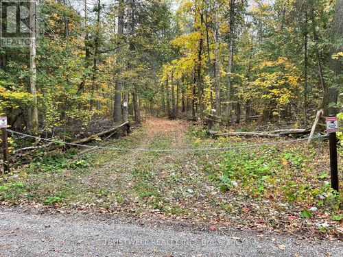 0 Little Silver Lake Road, Trent Lakes, ON, K0M1A0 | Card Image