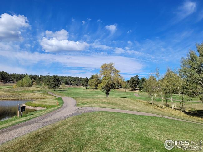 70 Northwoods Dr, Home with 0 bedrooms, 0 bathrooms and null parking in Red Feather Lakes CO | Image 11