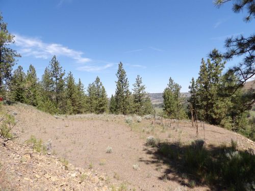 Lot 2 Chukar Short Plat Ln, Davenport, WA, 99122 | Card Image