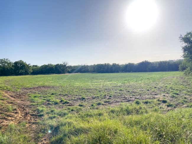 View of nature with rural landscape | Image 24