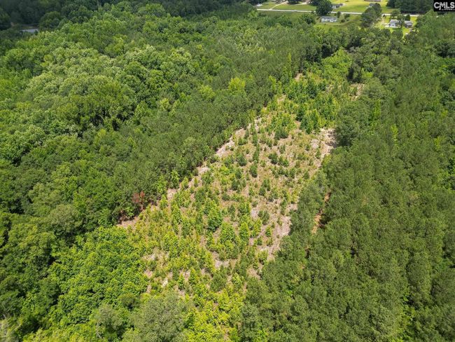 00 Kirkland Rd, Home with 0 bedrooms, 0 bathrooms and null parking in Rembert SC | Image 19