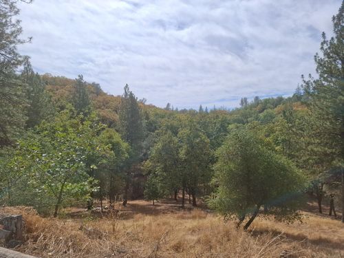 3460 Springer Road, Placerville, CA, 95667 | Card Image