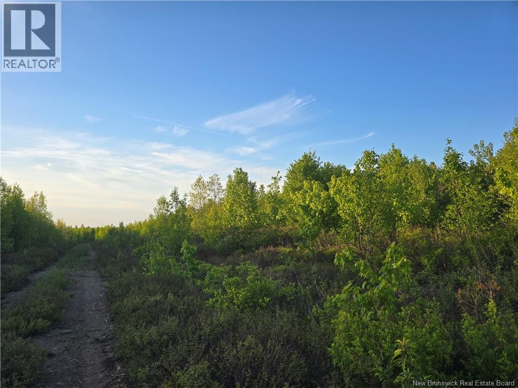 Land in Head Of Millstream 4