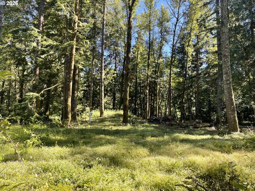 23282 E Sandy Ave, Rhododendron, OR, 97049-9751 | Card Image