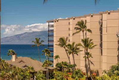 541 - 3445 Lower Honoapiilani Rd, Condo with 1 bedrooms, 1 bathrooms and null parking in Lahaina HI | Image 1