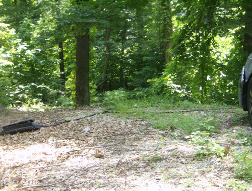 3310 Monans Rill Cv, Hernando, MS, 38632-4234 | Card Image