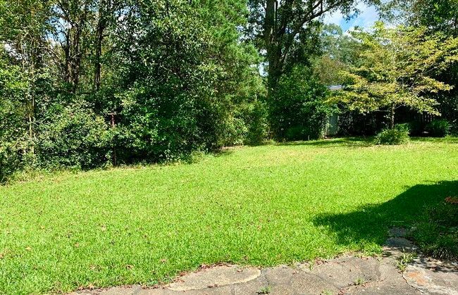 yard | Image 23