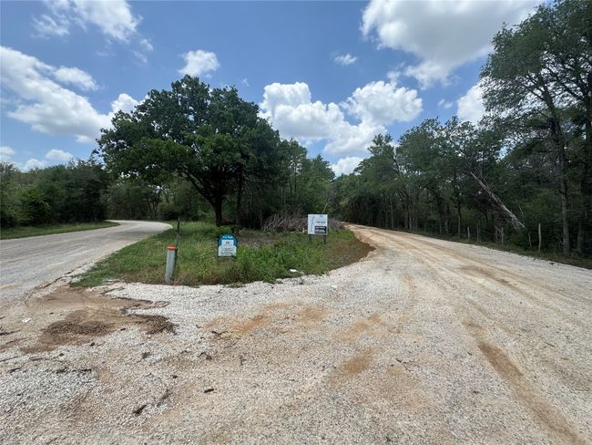 Entrance road from the corner of Carter Rd | Image 8