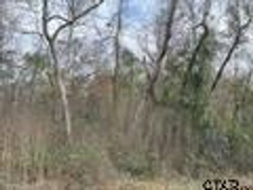 9707 W Lakeshore Dr, Tyler, TX, 75709 | Card Image