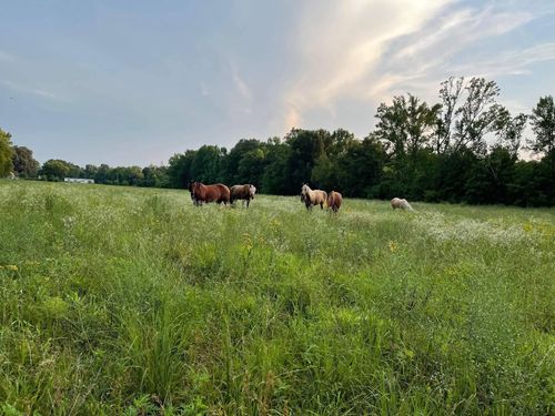 301 Laster Holman, Decherd, TN, 37324 | Card Image
