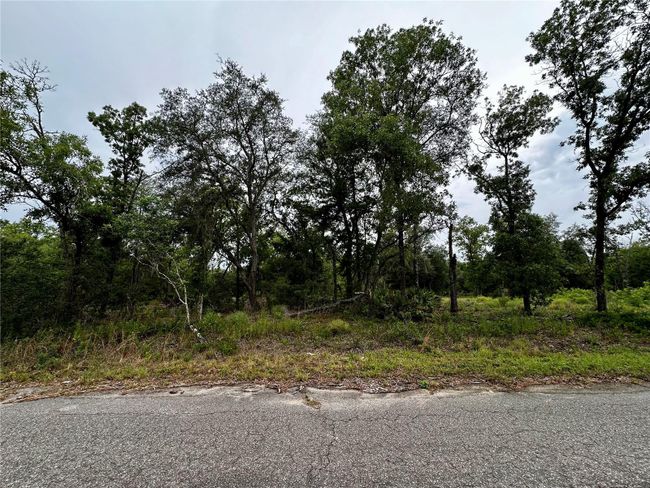 Lot 2 Guava Pl, Home with 0 bedrooms, 0 bathrooms and null parking in Ocklawaha FL | Image 6