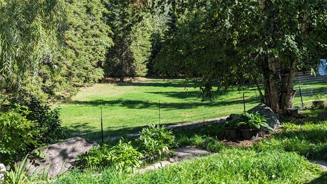 Lush Yard 2 | Image 36