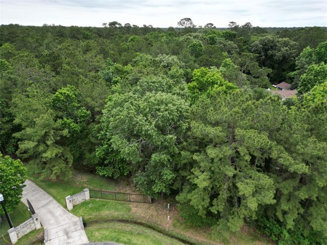 0 Commons Scenic View Dr, Home with 0 bedrooms, 0 bathrooms and null parking in Huffman TX | Image 10