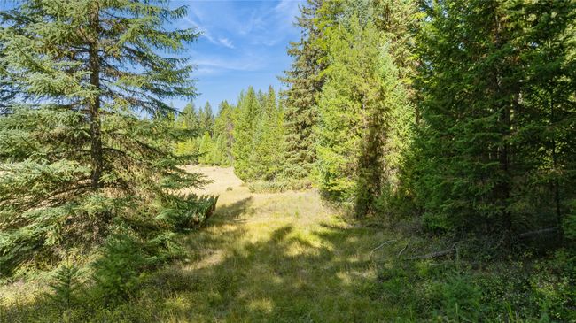 3217 Loon Lake Rd, Home with 0 bedrooms, 0 bathrooms and null parking in Trego MT | Image 38