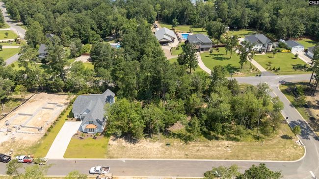 812 Elms Spinney Ln, Home with 0 bedrooms, 0 bathrooms and null parking in Chapin SC | Image 15