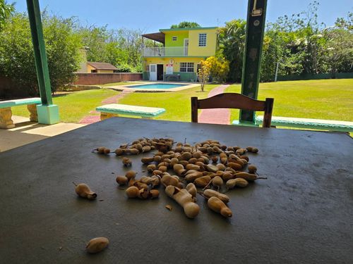686 Carretera 686, Vega Baja, PR, 00693 | Card Image