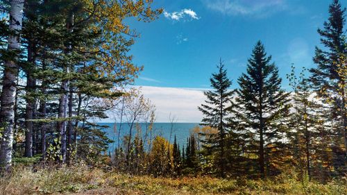 2895 E Highway 61, Grand Marais, MN, 55604-2135 | Card Image