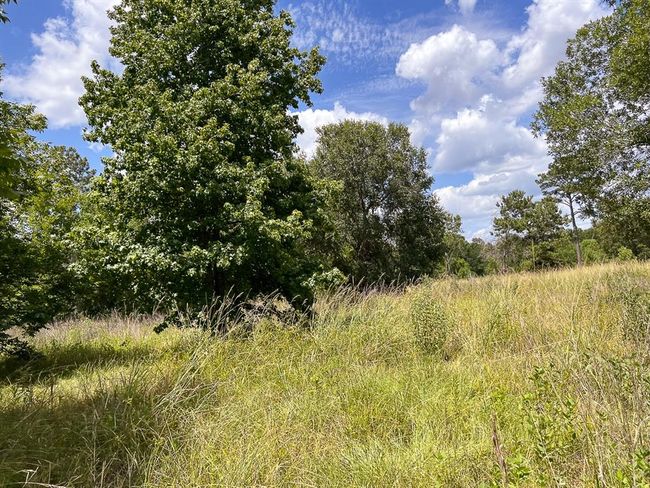 1 Avenue C, Home with 0 bedrooms, 0 bathrooms and null parking in Batson TX | Image 5