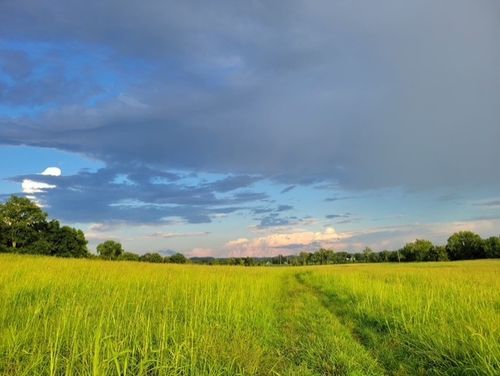 0 Glasgow Branch Rd, Hartsville, TN, 37074 | Card Image