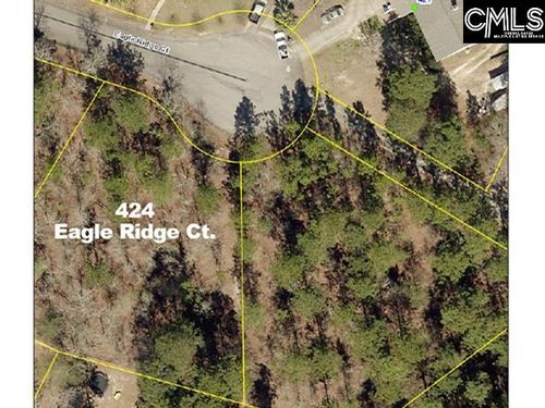 424 Eagle Ridge Court, Gaston, SC, 29053 | Card Image