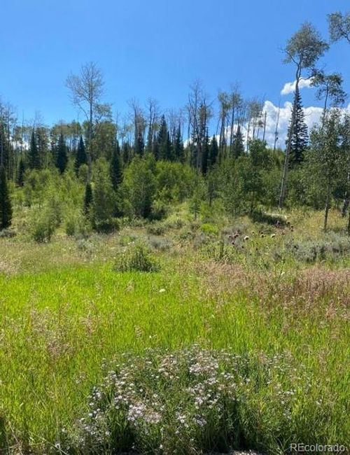 586 Gcr 372, Parshall, CO, 80468 | Card Image