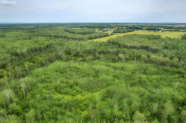 16499 Hwy 45, Home with 0 bedrooms, 0 bathrooms and null parking in Bruce Crossing MI | Image 35