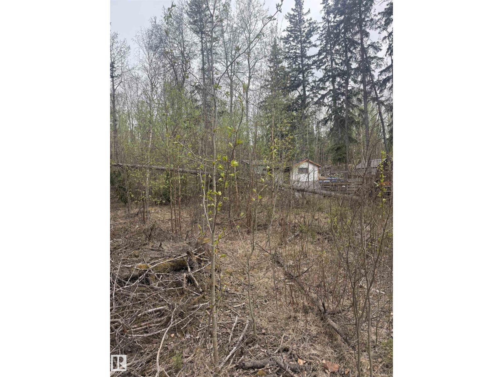 Land in Rural Lac Ste. Anne County 5