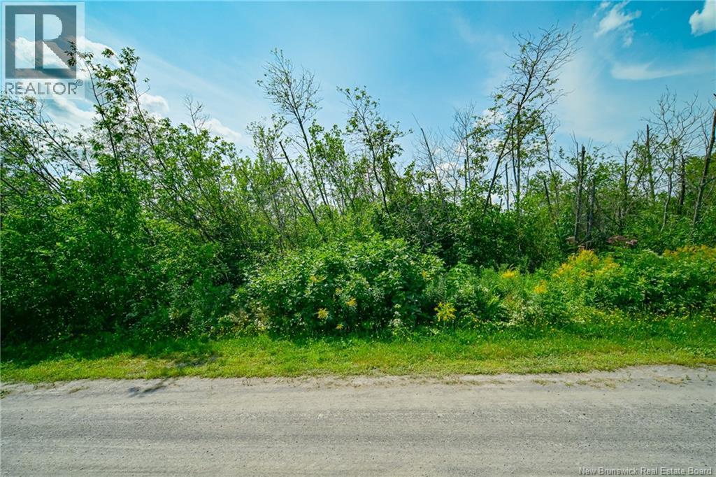 Land in Saint-Léonard 5