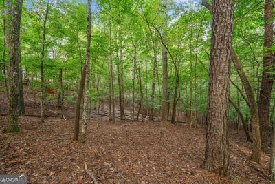 0 Gunite Circle, Home with 0 bedrooms, 0 bathrooms and null parking in Ellijay GA | Image 2