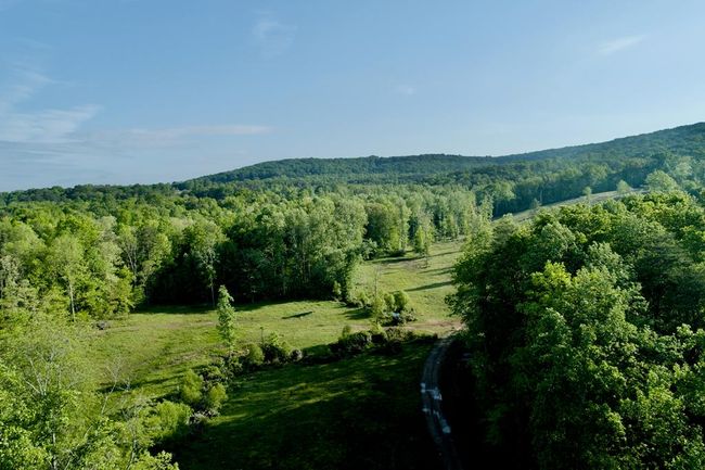 40.46AC Barker Cove Loop, Home with 1 bedrooms, 1 bathrooms and null parking in Palmer TN | Image 44
