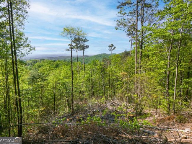 LOT 73 Mountain View Road, Home with 0 bedrooms, 0 bathrooms and null parking in Ellijay GA | Image 5