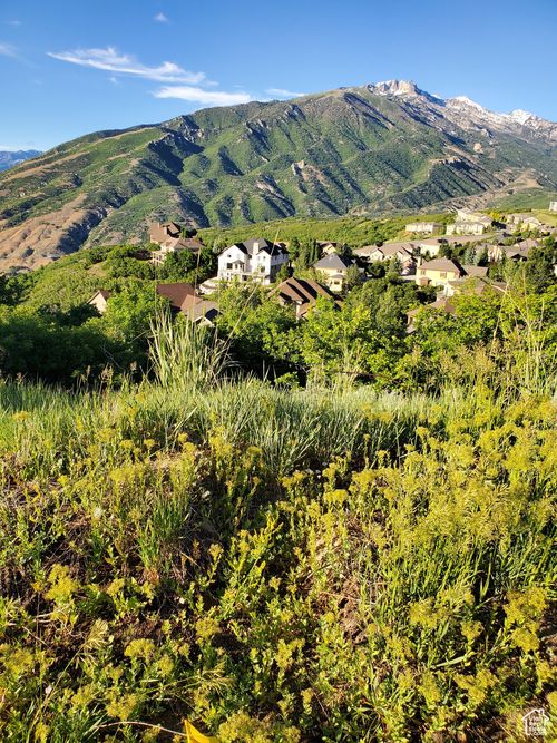 14849 S Saddle Leaf Ct, Draper, UT, 84020-5568 | Card Image