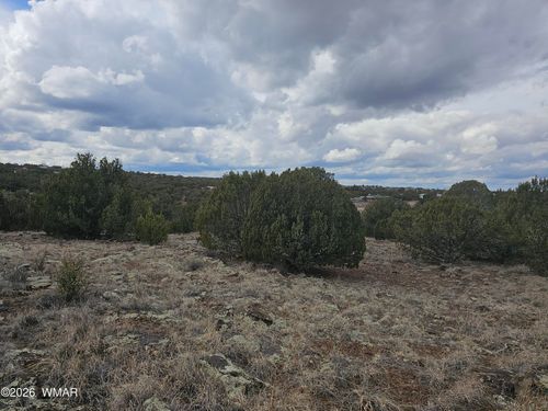 1903 Ponce Pl, Show Low, AZ, 85901-8129 | Card Image