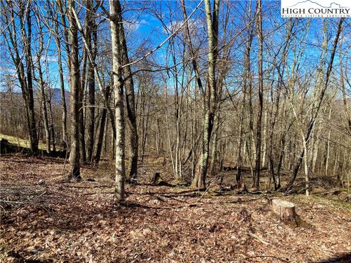 38 Sugar Tree Ln, Sugar Mountain, NC, 28604 | Card Image