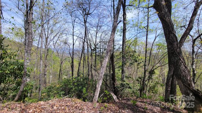 27 - 27 Lacy Fern Rdg, Home with 0 bedrooms, 0 bathrooms and null parking in Sylva NC | Image 23