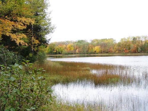 Lot 4 Black Bear Ln, Phelps, WI, 54554 | Card Image