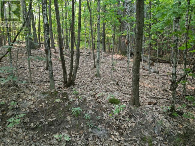 00 Buckslide Rd, Home with 0 bedrooms, 0 bathrooms and null parking in Algonquin Highlands (Stanhope) ON | Image 11