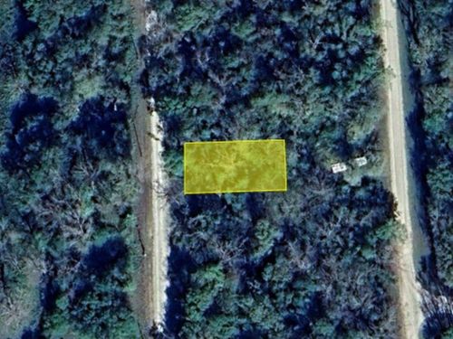 0 Wynne Rd, Trinity, TX, 75862 | Card Image