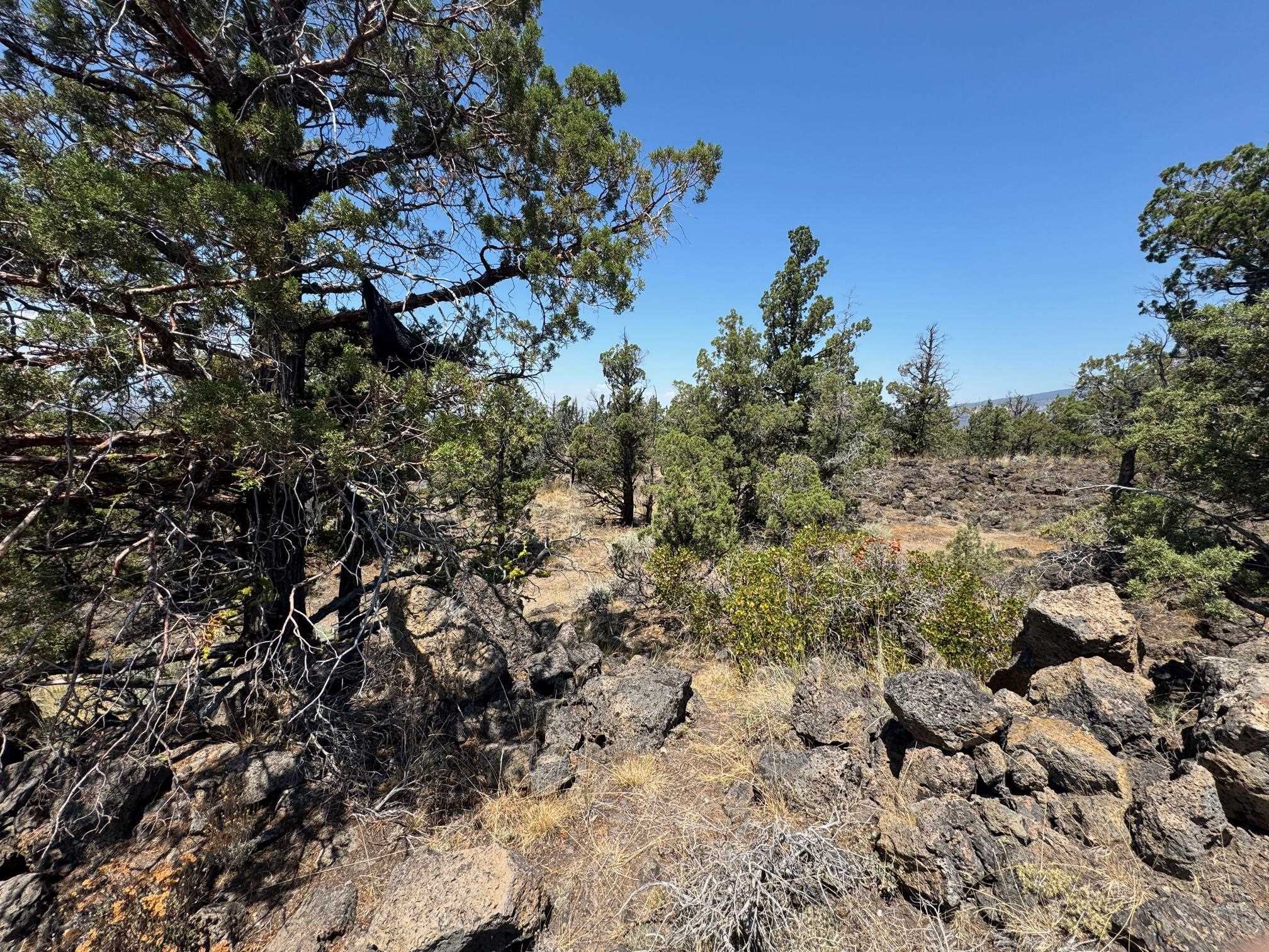 Land in Montague 4