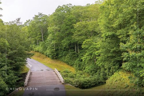 8 New Settlers Way, Glenville, NC, 28736-0390 | Card Image