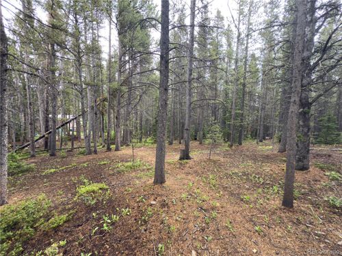 285 Lower Forest Rd, Idaho Springs, CO, 80452-9765 | Card Image