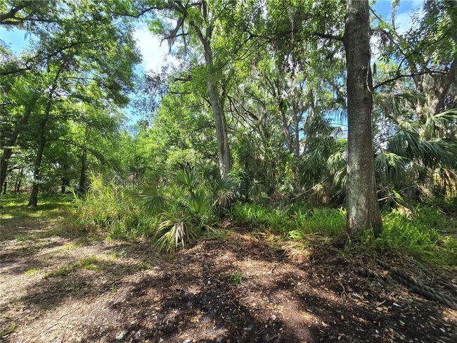 265 Corbett Rd, House other with 4 bedrooms, 3 bathrooms and null parking in LITHIA FL | Image 24